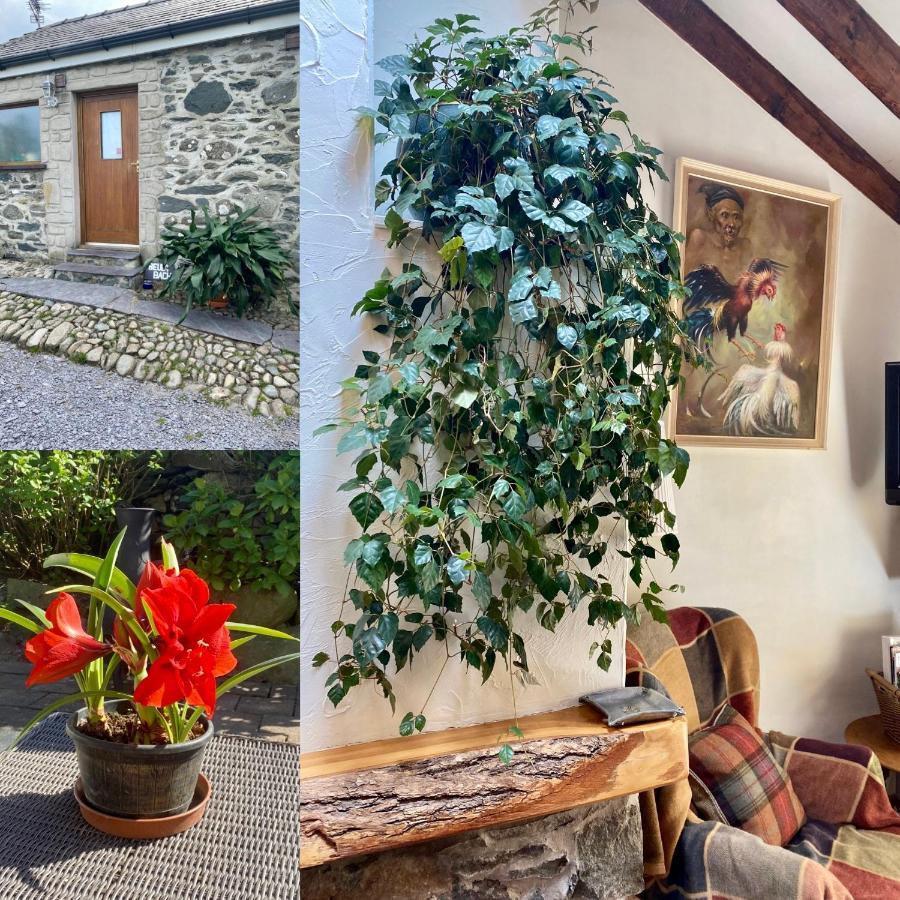 Beudy Bach And Beudy Mawr Mountainstudios Bangor  Exterior foto