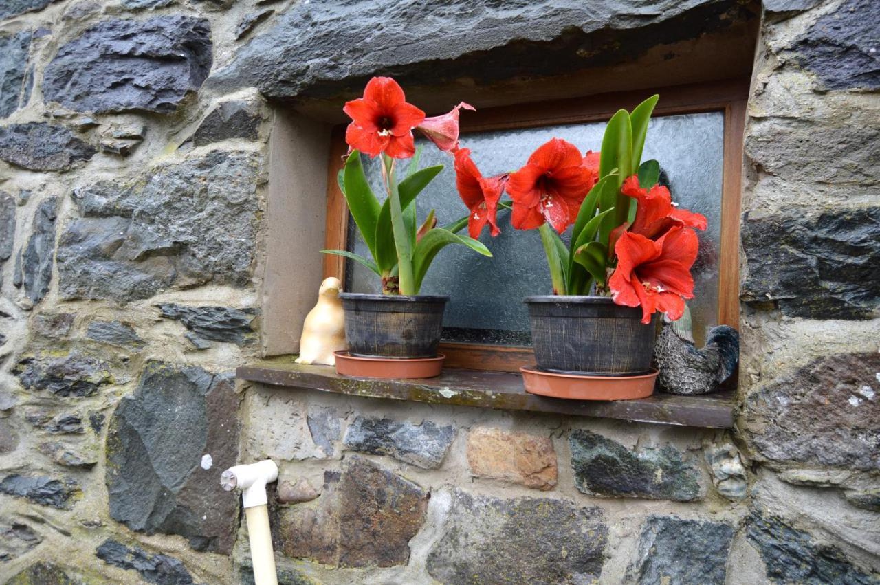 Beudy Bach And Beudy Mawr Mountainstudios Bangor  Exterior foto